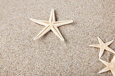 科学冒险《匿名代码》9月发售PC版新增繁中字幕